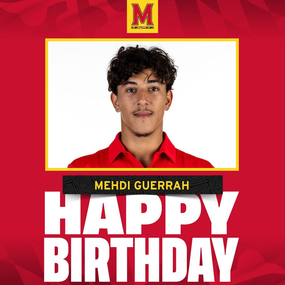 Happy birthday Mehdi! 🐢🎂