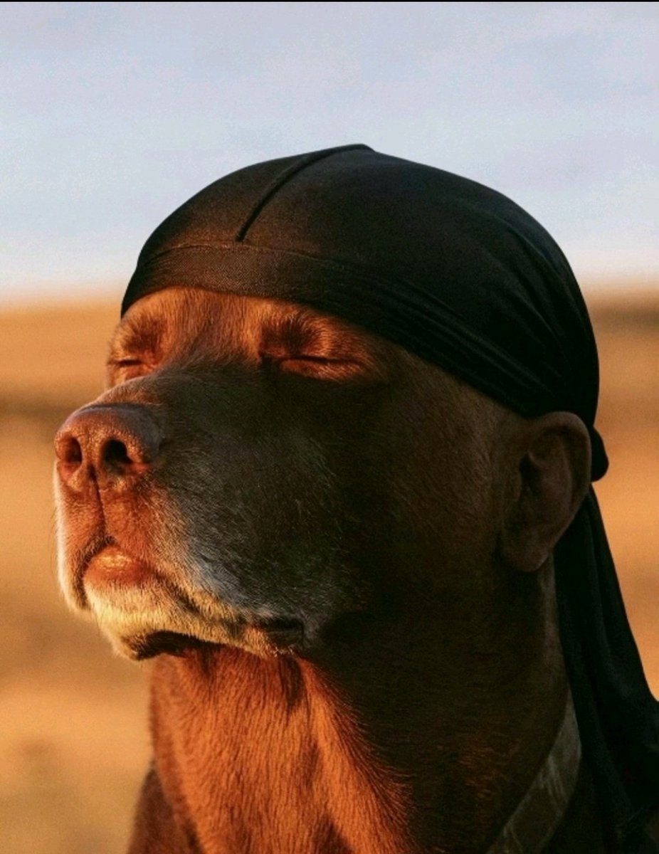 A pista tá salgada pro carioca.

Na água tem cocô, no álcool tem metanol.

Uma escolha muito difícil.