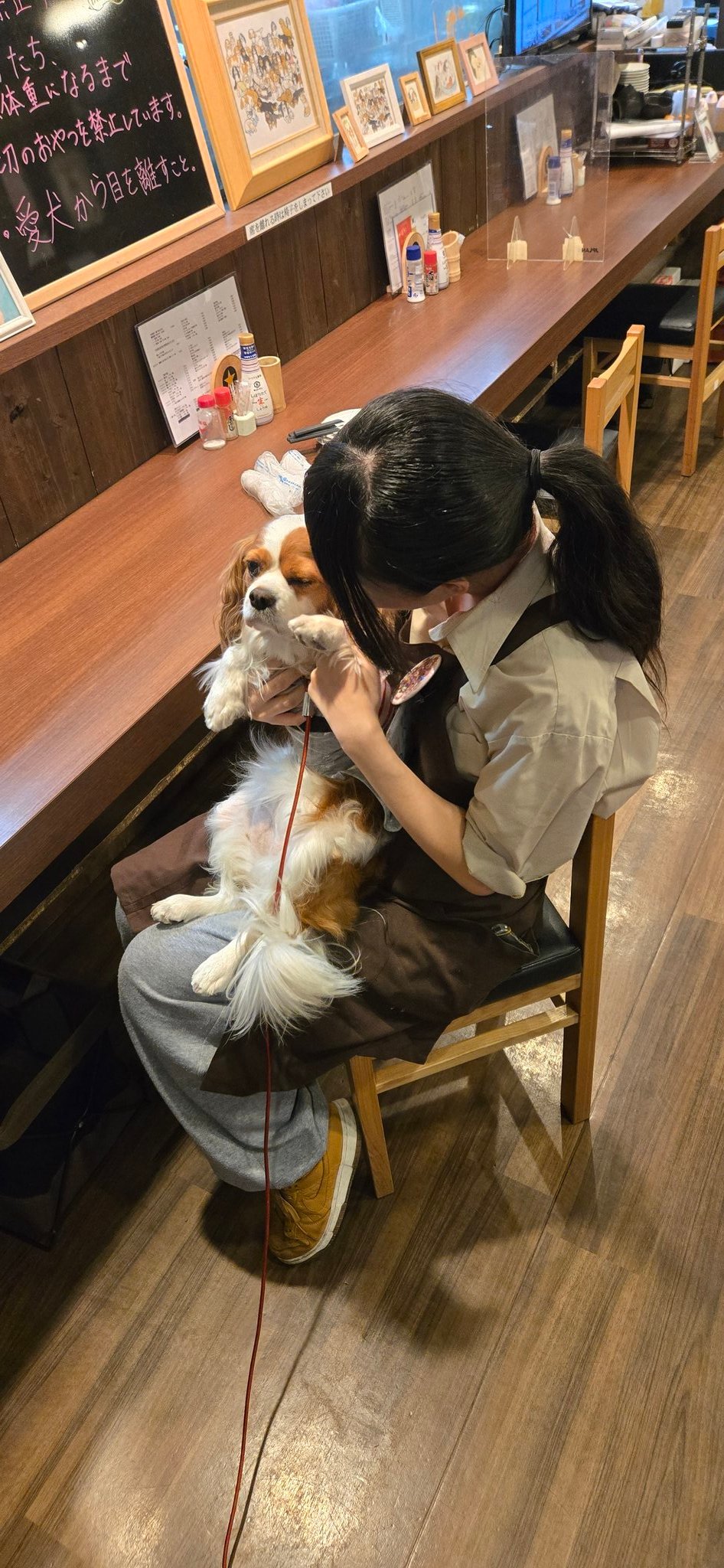めるも「ボク うぃん、弟はエア 妹はエイル よろしくね