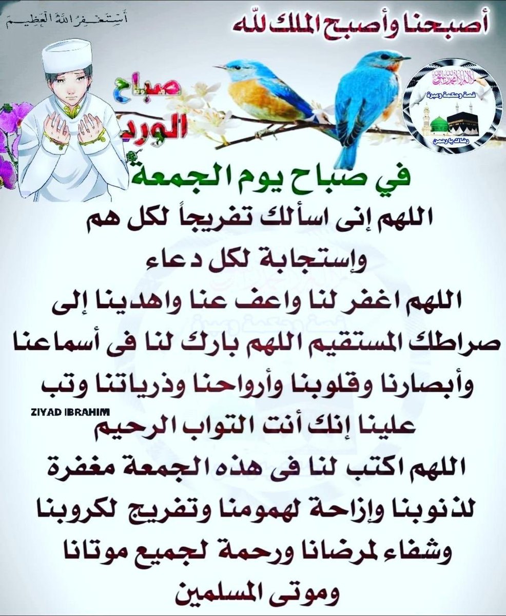 احمد (@wxvbakjsanzlwzt) on Twitter photo 