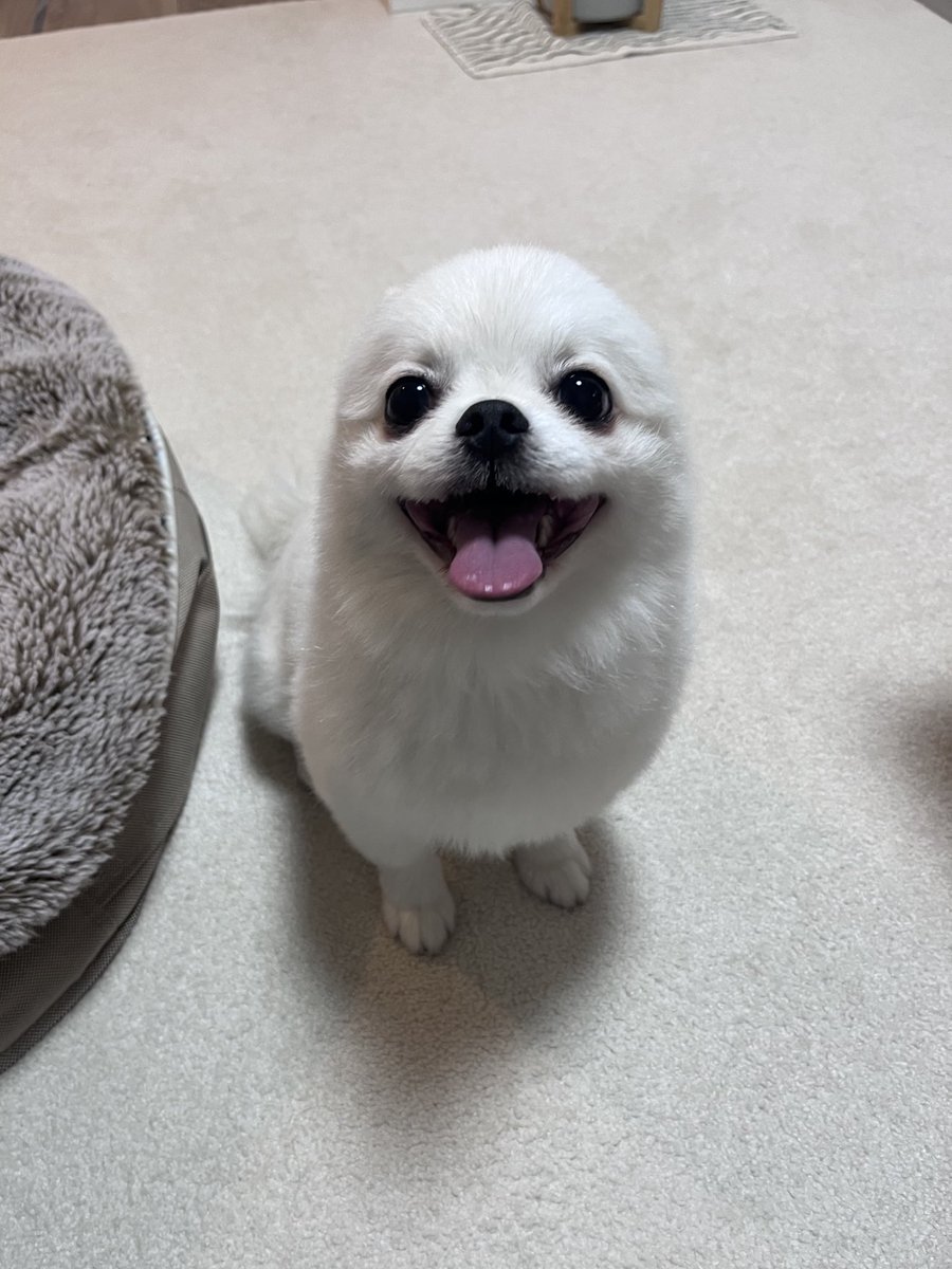 きんよーび！ハッ(笑顔)