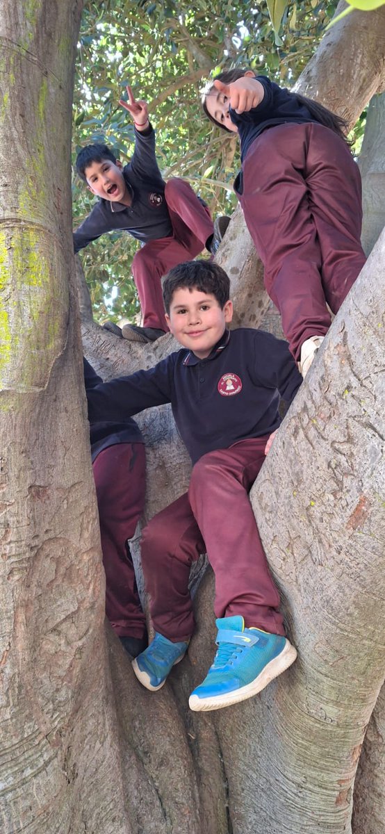 Escuela El Convento tweet media