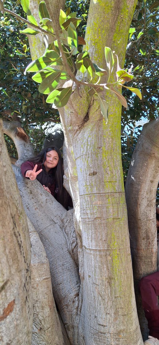 Escuela El Convento tweet media