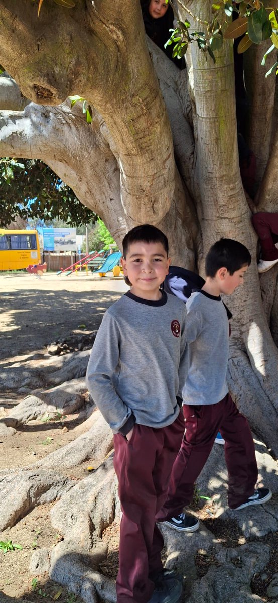 Escuela El Convento tweet media