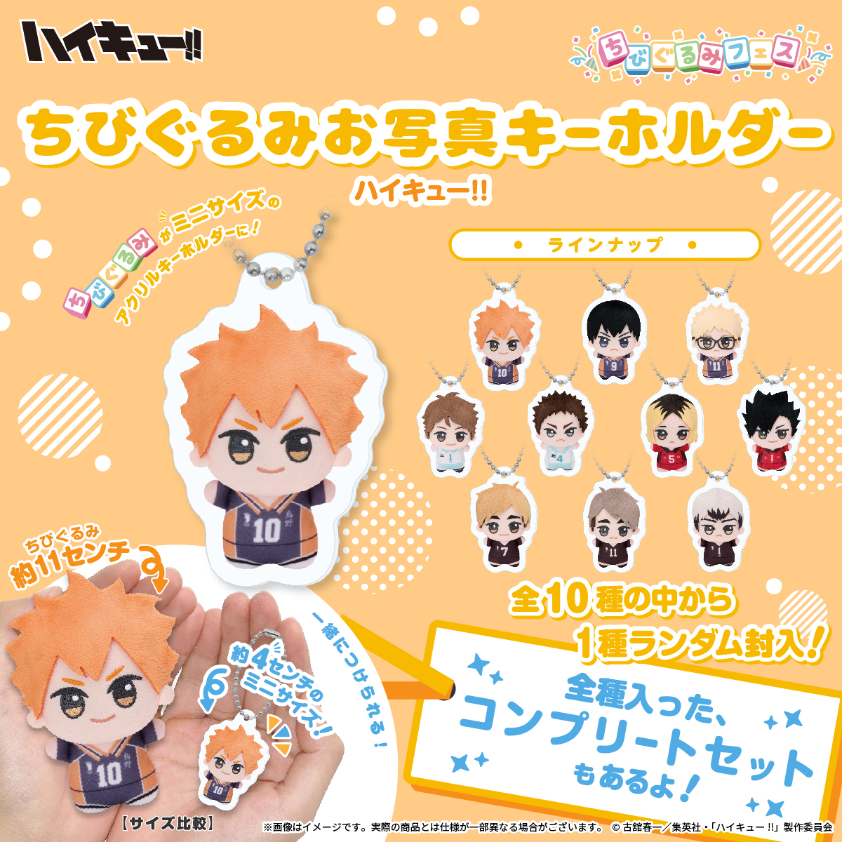 ハイキュー ビジュアルボード ちびぐるみ ハイキュー!! ちび