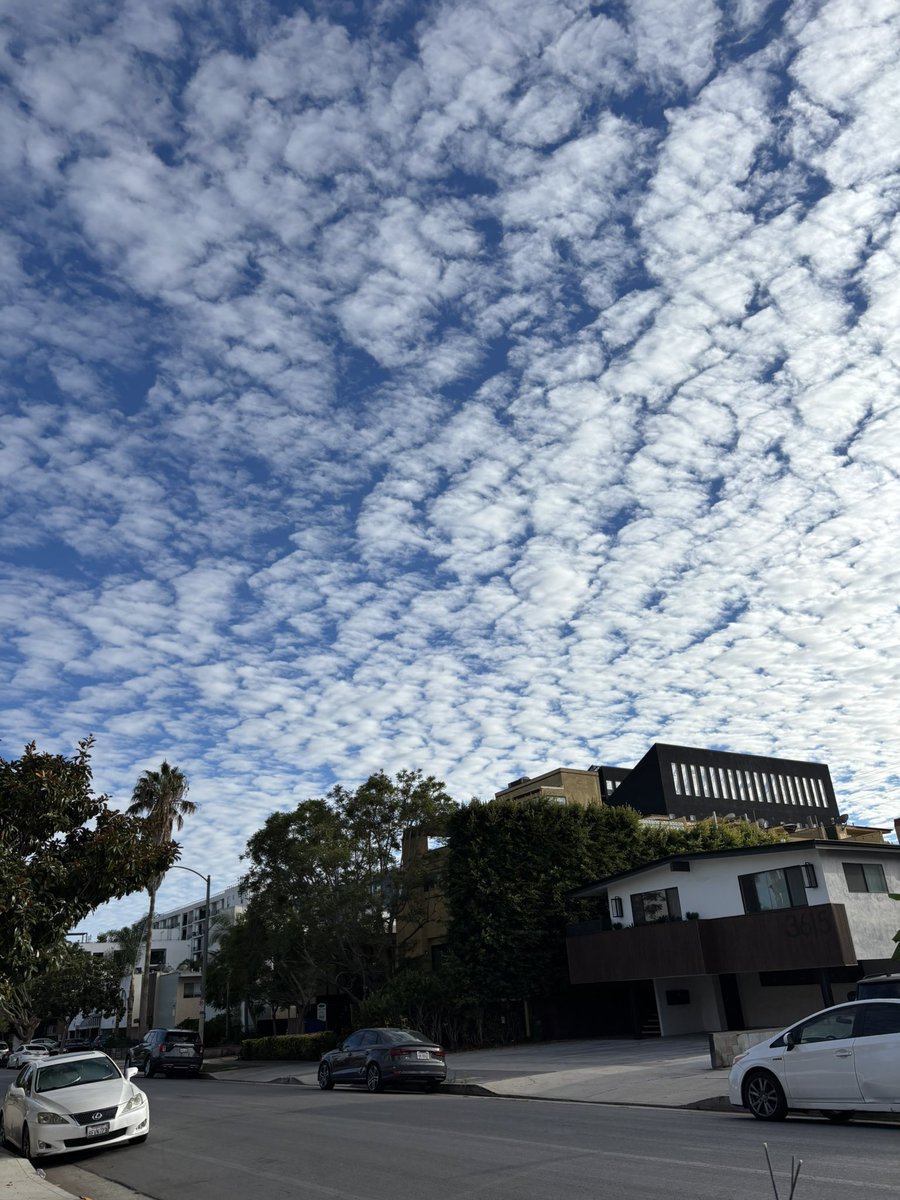 Molly Getman tweet media