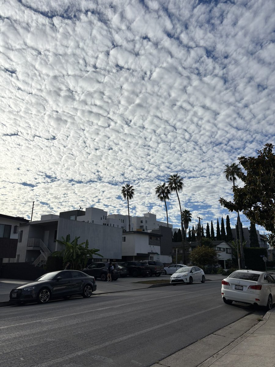 Molly Getman tweet media