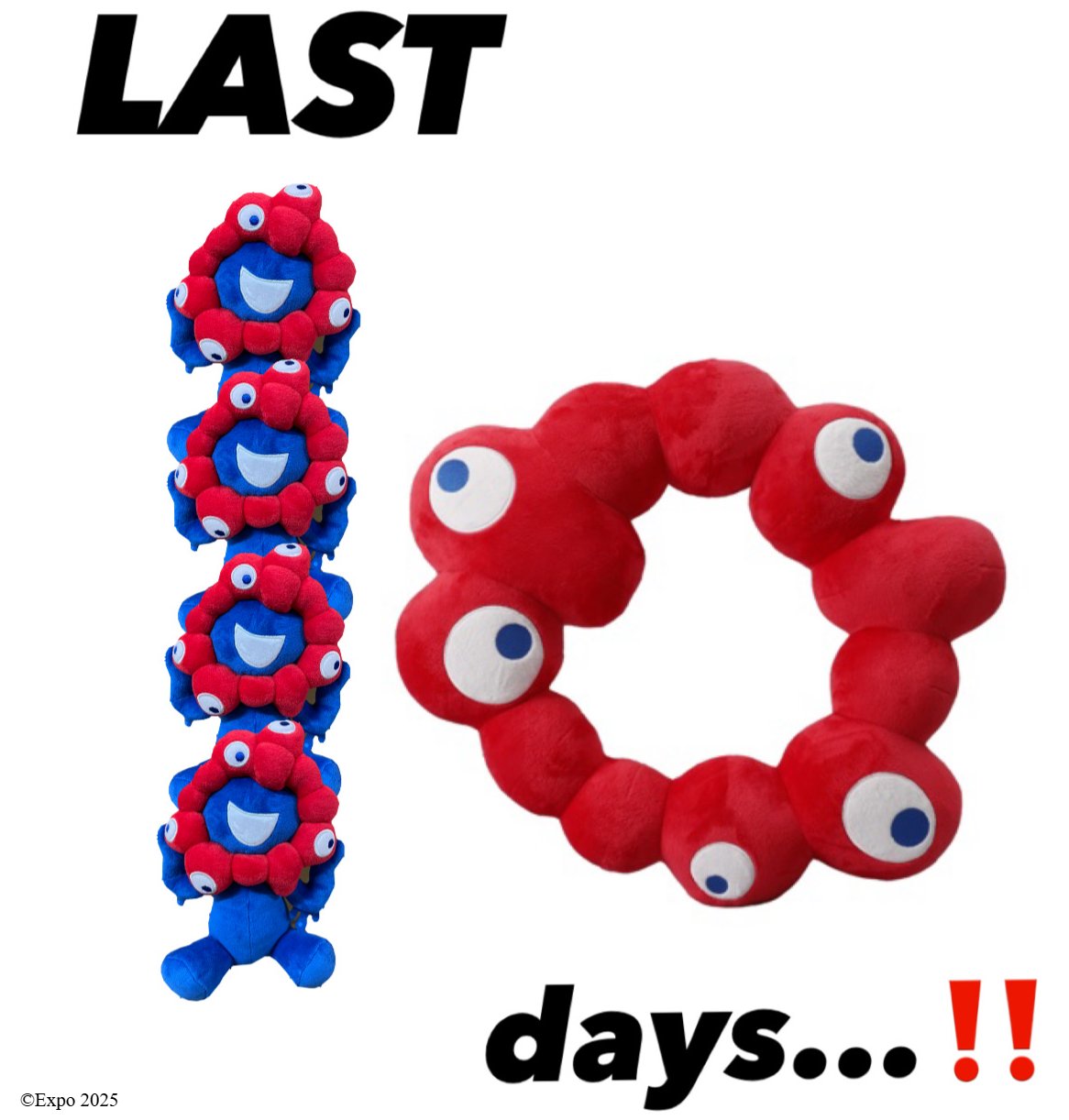 DKZ DONGKIZ CRAZYNIGHT 封入 ラキドロ 纏め売り DKZ DONGKIZ CRAZYNIGHT 封入 ラキドロ 纏め売り Z/Xグッズ ｜ Z/X