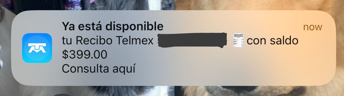 XimeIssa's tweet photo. @TELMEXSoluciona  promete
Y promete y nada …. Solo dm vacíos sin solución ya llego 4 días sin internet ¿cuántos más? Pero eso si el cobro súper puntuales https://t.co/5Cfz1RH6cd