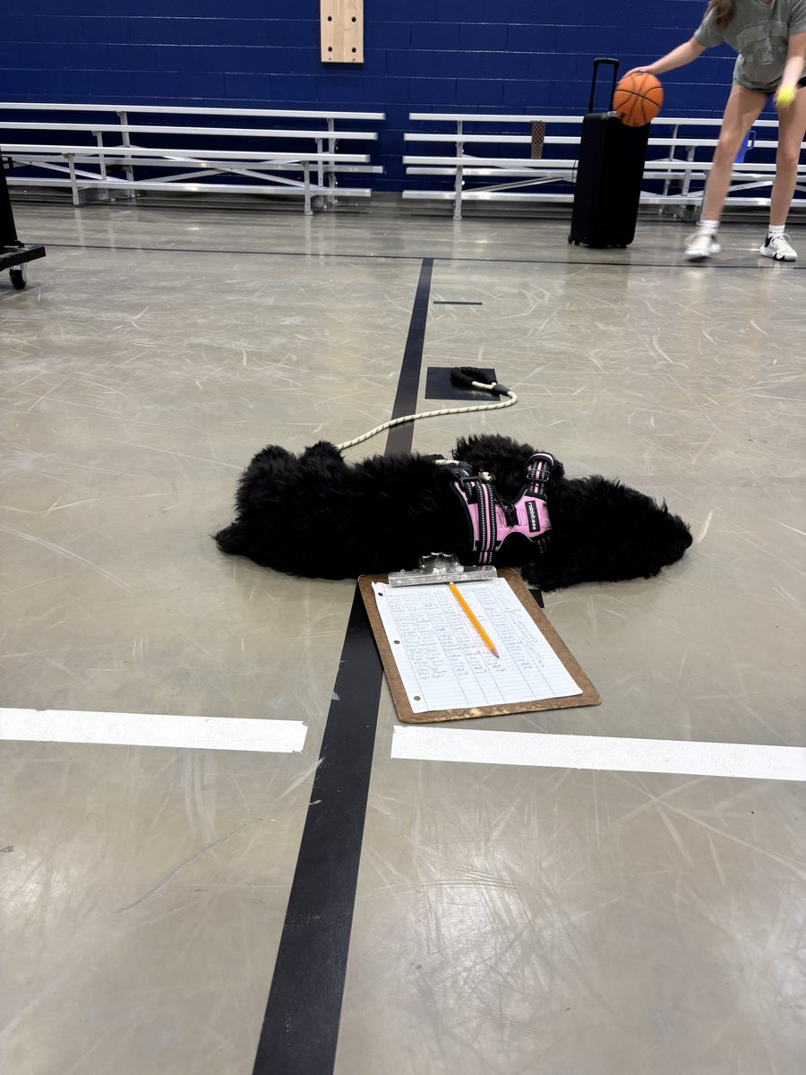 These ladies shot so well yesterday, that they put my puppy to sleep 😀
Keep getting better each day!

I’m so thankful that we have players that love to work hard. 

Go Lady Bruins!