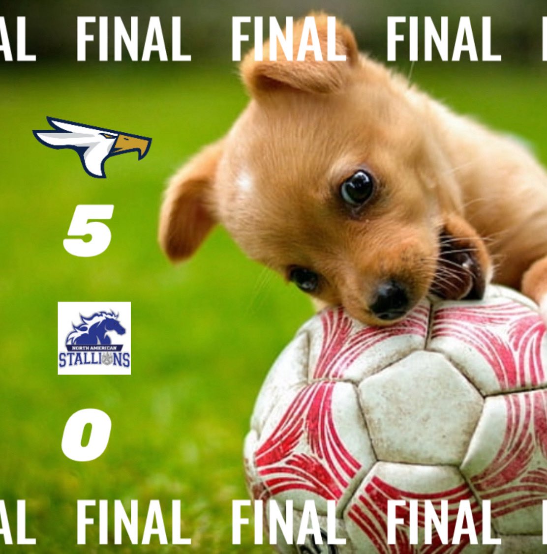 TAMUT_WSOC's tweet image. 🔥Final score tonight!🔥
⚽️Desiree Narvaez
⚽️Brooklyn Lattier
⚽️Ayleen Avila
⚽️Lillian Miller
⚽️Zoah Zackry