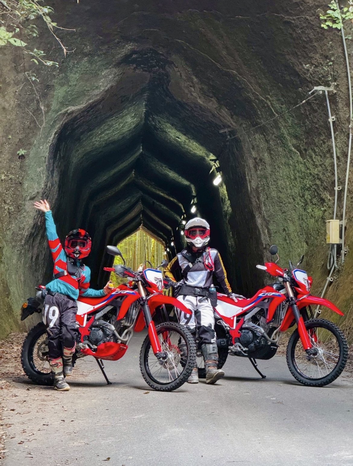 ktmボタニカル様用　特大　発根済み　アボニア スリット鉢-2号(CSM-60)緑(カネヤ：グリーン)＠多肉植物・塊根