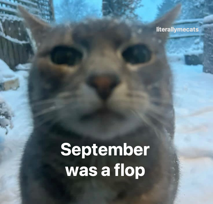 LiterallyMeCats tweet media