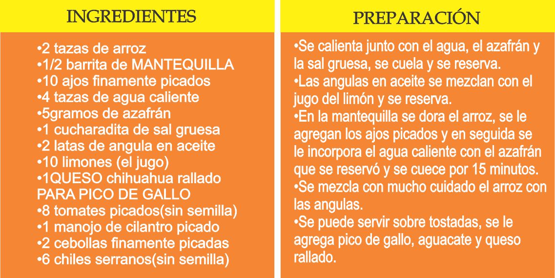 Deléitate con deliciosos y prácticos platillos que se preparan con los productos derivados de la leche.