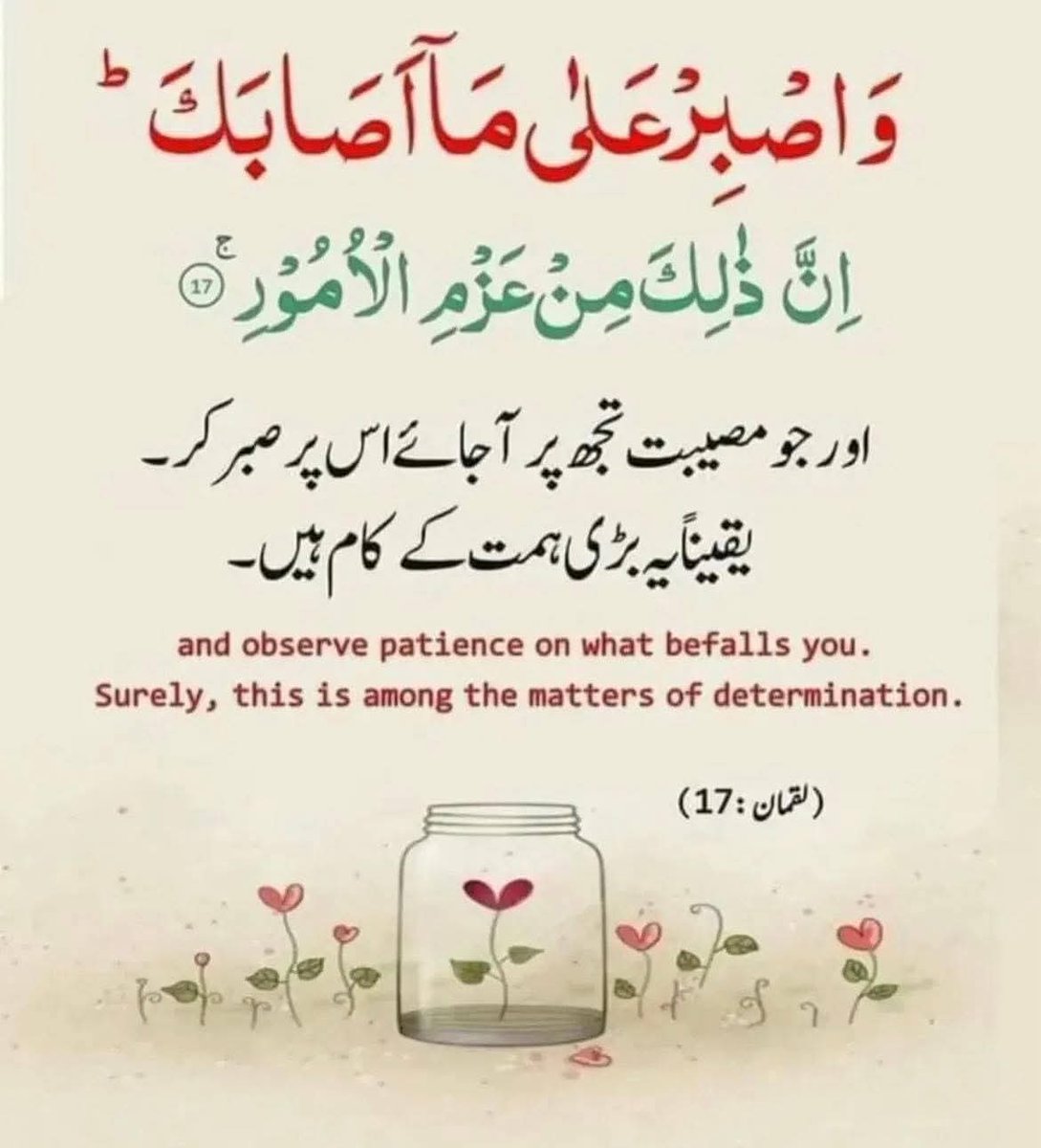 اَلسَلامُ عَلَيْكُم وَرَحْمَةُ اَللهِ وَبَرَكاتُهُ
ایمان بخیر زندگی

#its__shai

Good morning X family ❤️