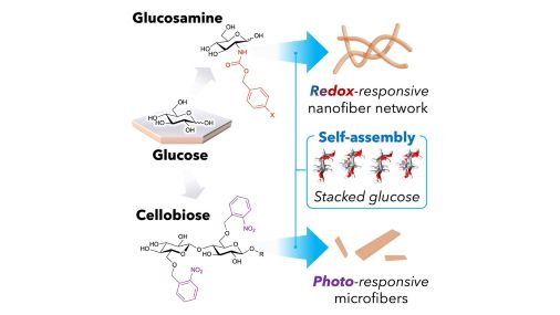 CSJjournals_jp's tweet image. [Highlight Review]
糖からつくる、柔らかな材料 🍬
グルコース誘導体が水の中で自然に集まり、光や酸化還元に反応するソフトマテリアルに！
身近な糖が持つ可能性を紹介するレビュー論文が公開されました。
東小百合先生・池田将先生 @GifuUniv_PR (岐阜大学)
#FreeAccess

academic.oup.com/chemlett/artic…