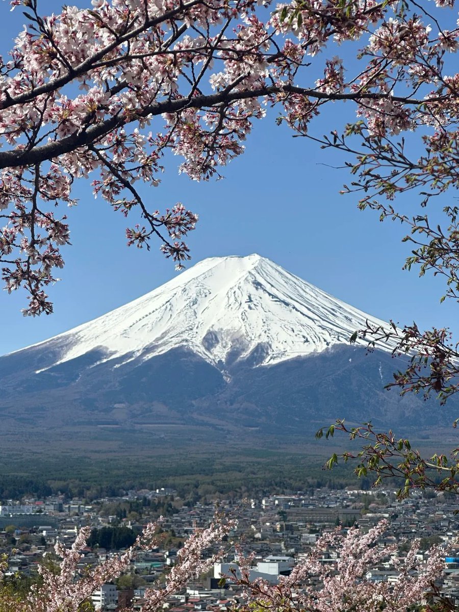 MoonlightGrace_'s tweet photo. これは東京にいる私の姉がお金を送って見た日本の富士山の写真です。 https://t.co/6N6Vin3Ncm