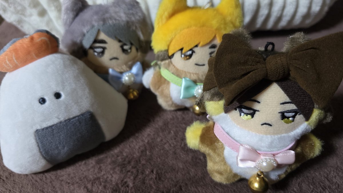 ちなみに今日の子はこの間怒られた子達😂頭が痛いっていったらちみすなくんは可愛さ増し増しで来てくれまして…🫶❤️

📱｢ぬしちゃん おれかわいいでしょ？｣

うん、可愛いね可愛いね皆可愛いねおにぎりも可愛いよ🥰
#うちのちみけも 
#ちみけものいる暮らし
#ちみけも好きな人と繋がりたい