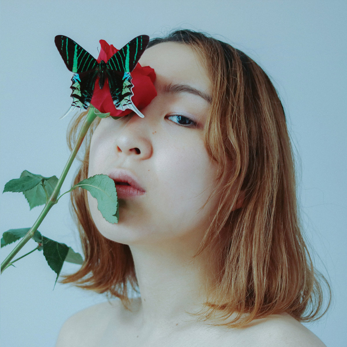 Meishi Smile tweet media