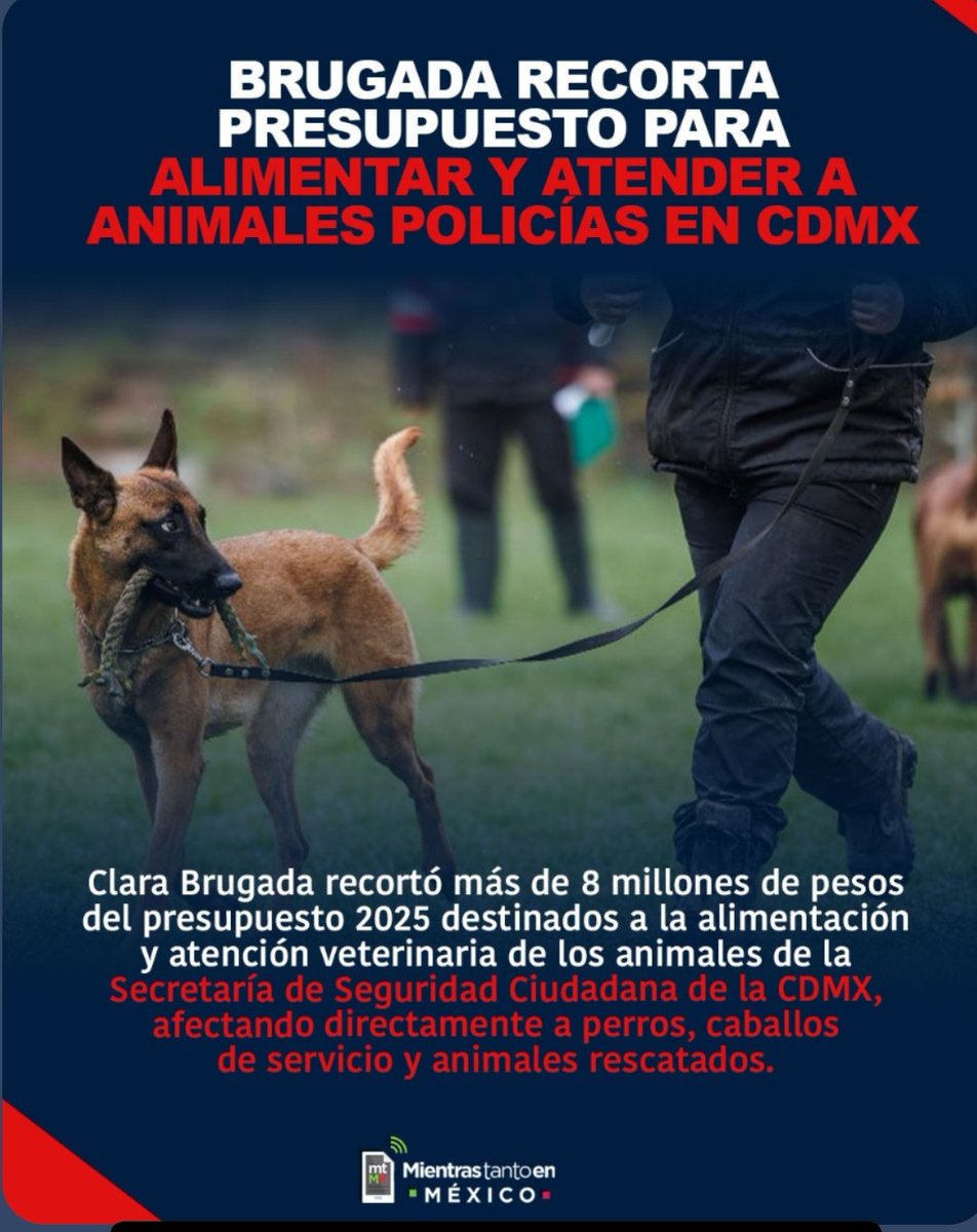 <a href="/siete_letras/">Antonio Nieto</a> <a href="/PDI_FGJCDMX/">Policía de Investigación</a> <a href="/BJAlcaldia/">Alcaldía de Benito Juárez</a> Y aún así, sabiendo que son un gran elemento policial y de salvamento, nuestra gobernadora decidió retirarles presupuesto!!!!