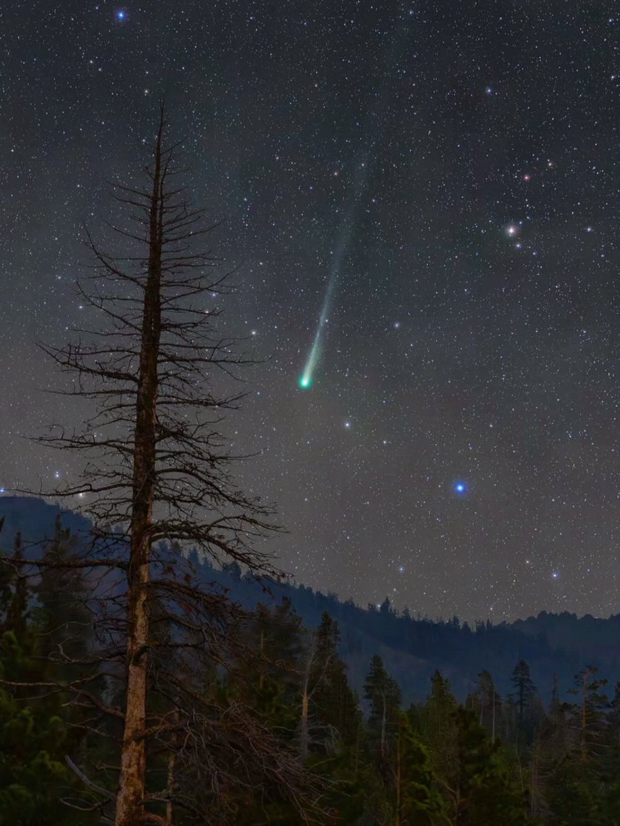 ☄️ C/2025 A6 (Lemmon) 

📍Sierra Nevada (EUA) ⛰️
📸 Ralf Rohner