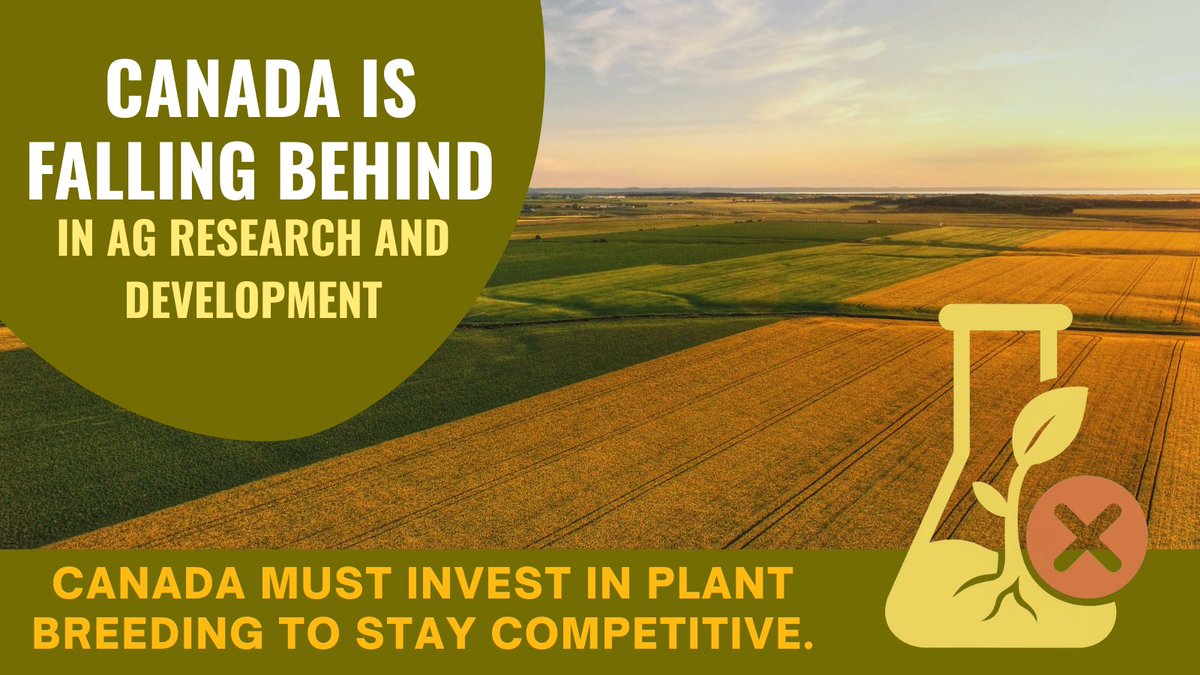 Canada is falling behind global competitors in ag research and development. Without renewed investment, farmers lose access to the tools they need to adapt, cut costs, and improve yields.