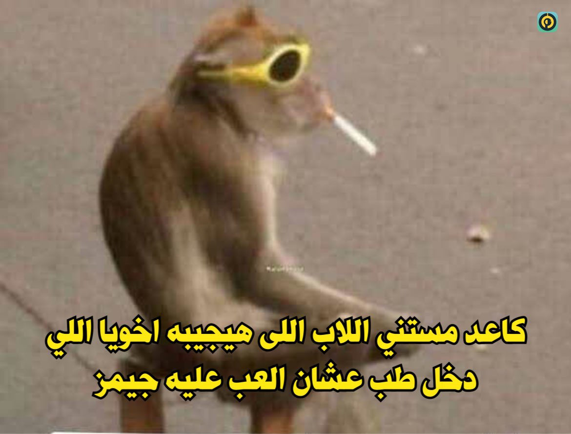 Ö 🇵🇸 (@abdooosama98) on Twitter photo 