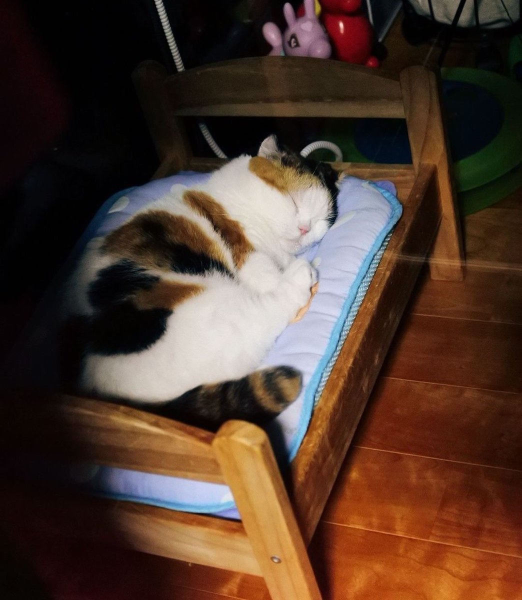 Tovulga's tweet photo. İyi geceler X boşluğu.. 🌙✨ https://t.co/vRKF6yfPMA