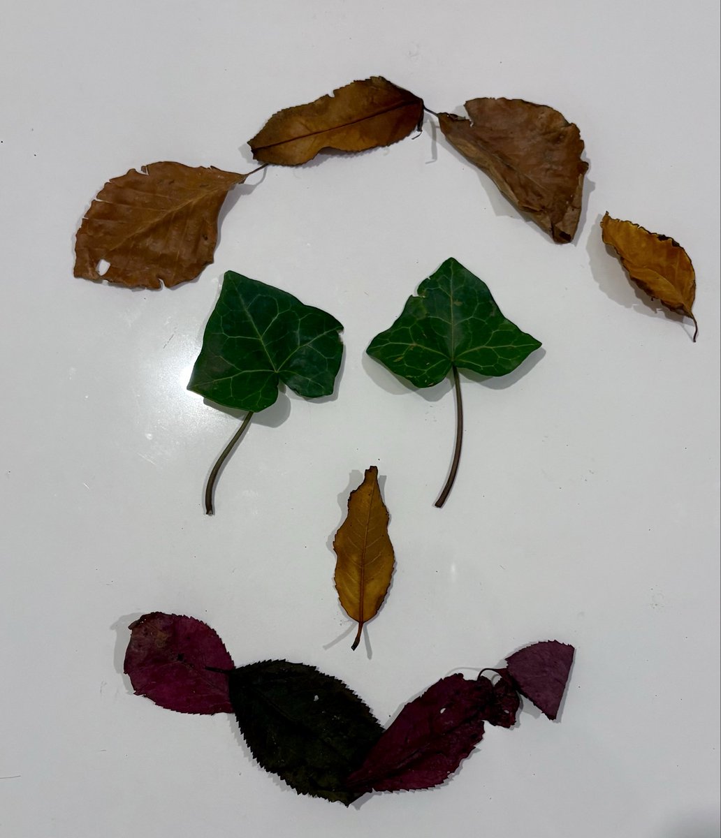 I love Autumn colours.

Starter activity idea:

Mindfulness - outdoor senses
Numeracy (sorting, patterns, shapes, numbers, colours)
Literacy (letters)
Art
Geography (create a country)
Understanding the world 
Emotional well-being
Seasons 

All natural materials from nature.