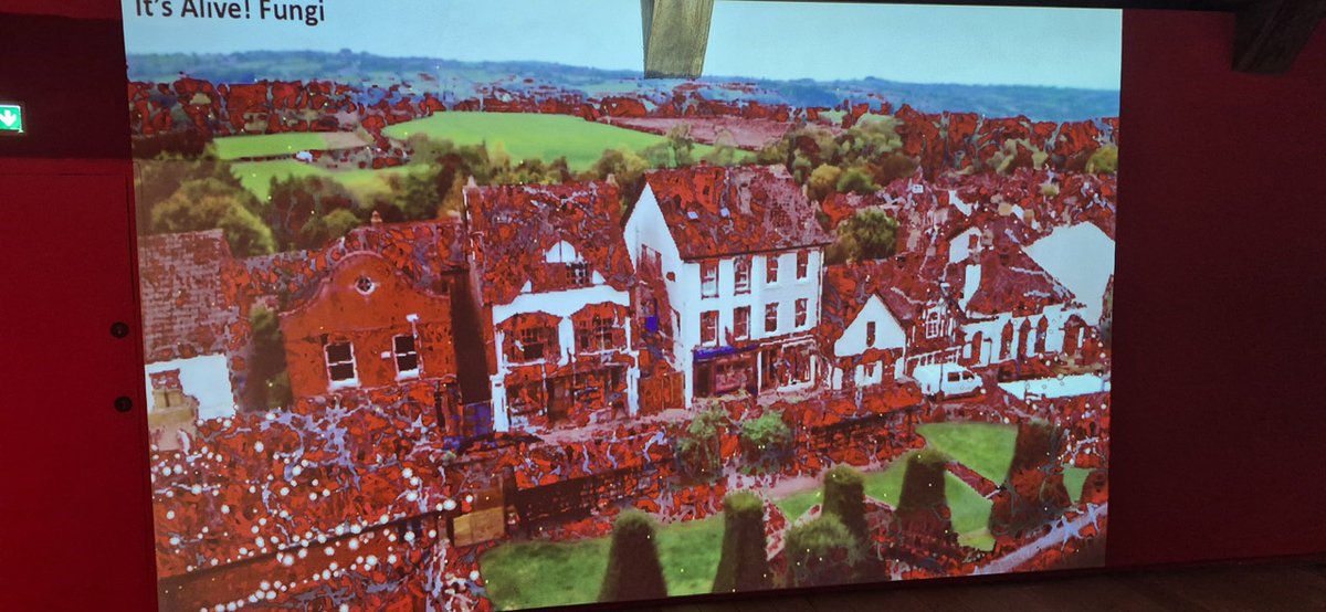 Genetic Moo tweet media