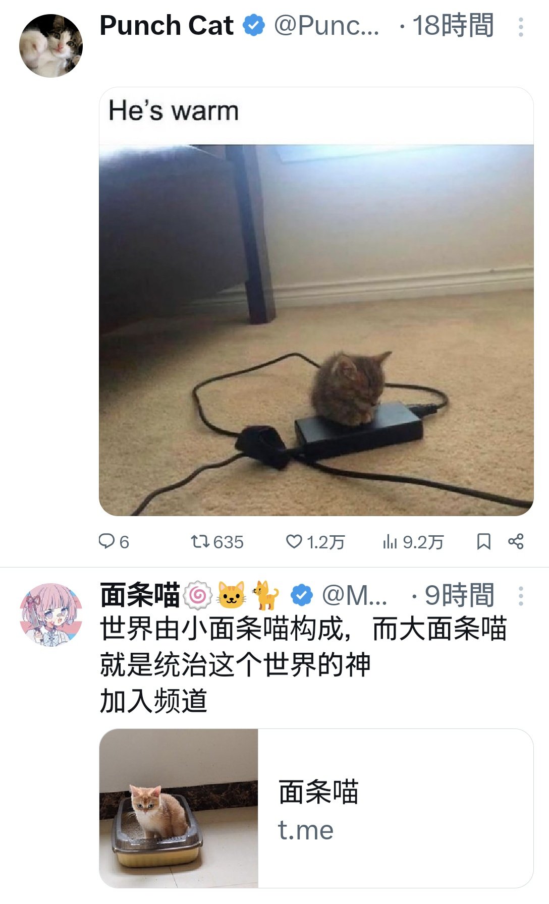 野良猫樣專用。8号送达 野良猫樣專用。8号送达 野良猫樣專用。8号送达