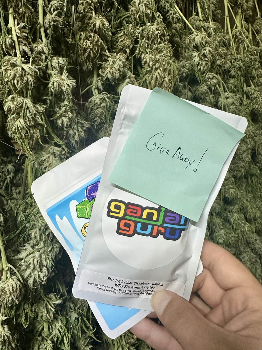 🐤Giveaway Time! 🐤
2 winners will be chosen over 2 days!

How to Enter:
1️⃣ Follow <a href="/Cozy__Cubes/">CozyCubes</a>
2️⃣ Like this post
3️⃣ Share this post
4️⃣ Drop a funny meme or GIF in the comments.🐥

💨 Tags are always appreciated, but not required.
Good luck everyone! 🍀🔥