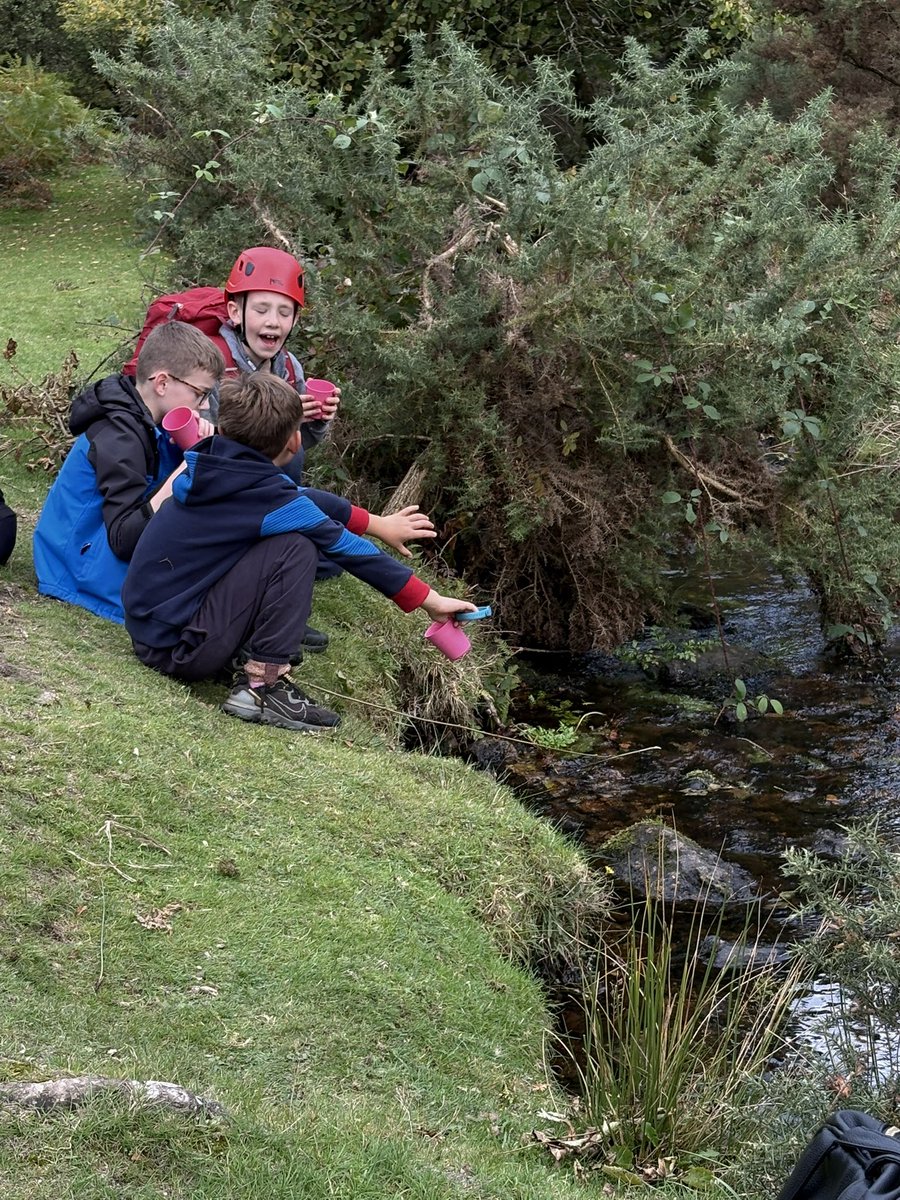 Stoke Hill Fed tweet media