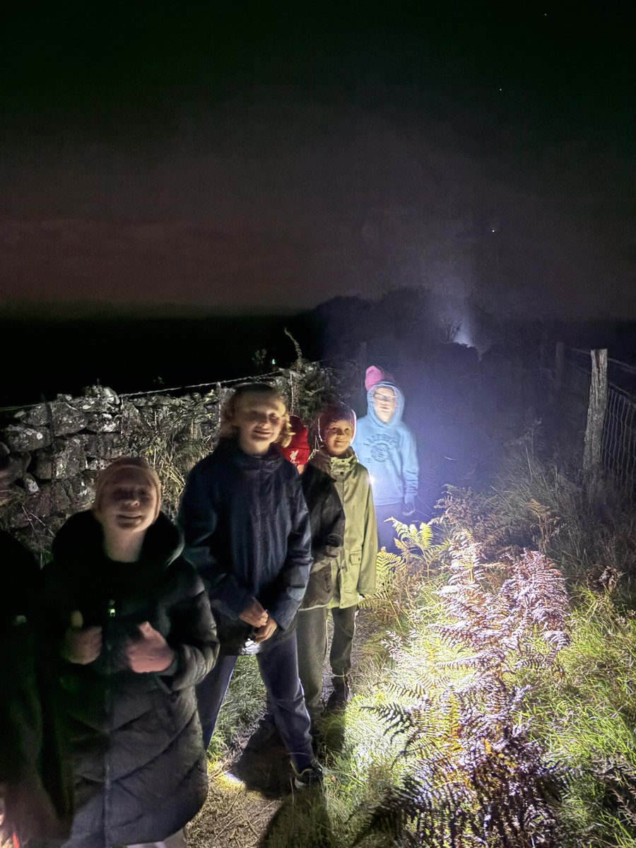 Stoke Hill Fed tweet media