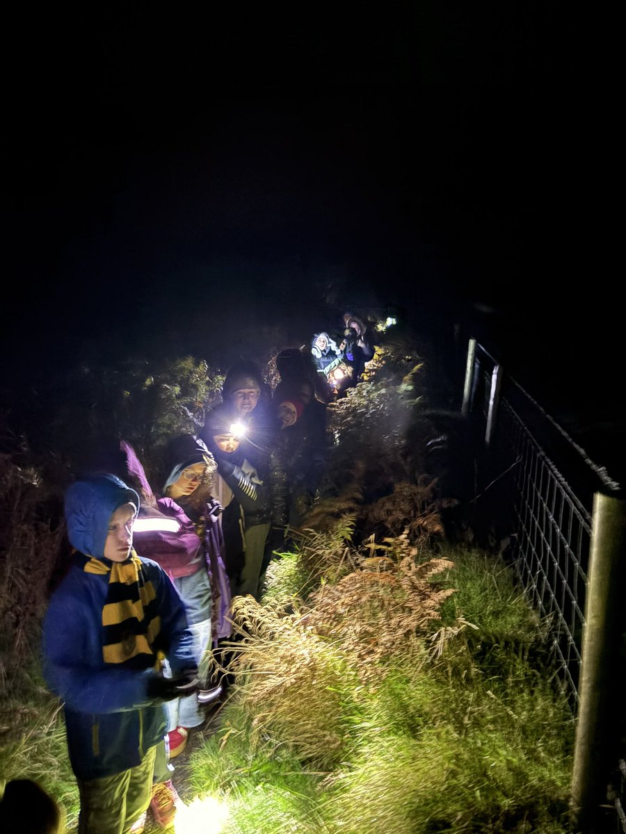 Stoke Hill Fed tweet media