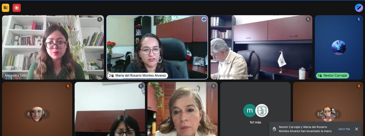 impepac's tweet photo. ✨ Con gran participación se realizó la capacitación virtual “Violencia digital como VPG” 👩💻✊, impartida por la Mtra. Martha Alejandra Tello 🎓, con presencia de consejeras y consejeros del @Impepac 🗳️ #Igualdad #VPG 💜 https://t.co/OuLqfUFQR6