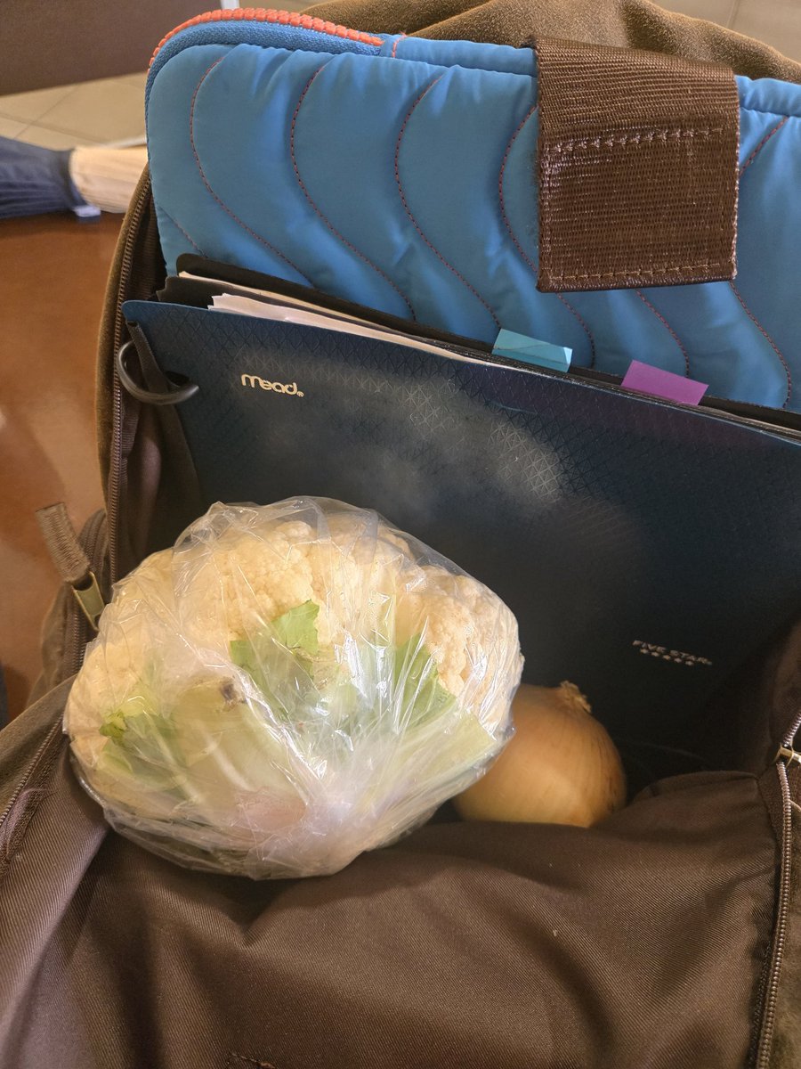 professor next door gave me a whole head of cauliflower and whole onion what should I make