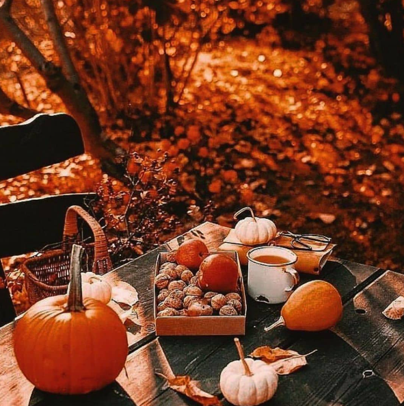 BerriFrog's tweet photo. My Halloween Aesthetic 🎃👻😈#halloween #aesthetic https://t.co/CHFcMp73s3