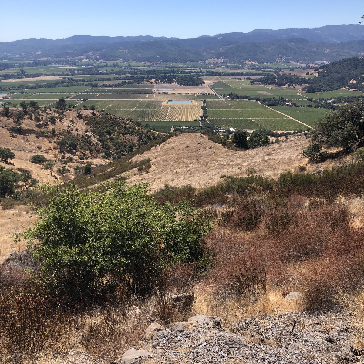 Joe Czerwinski tweet media