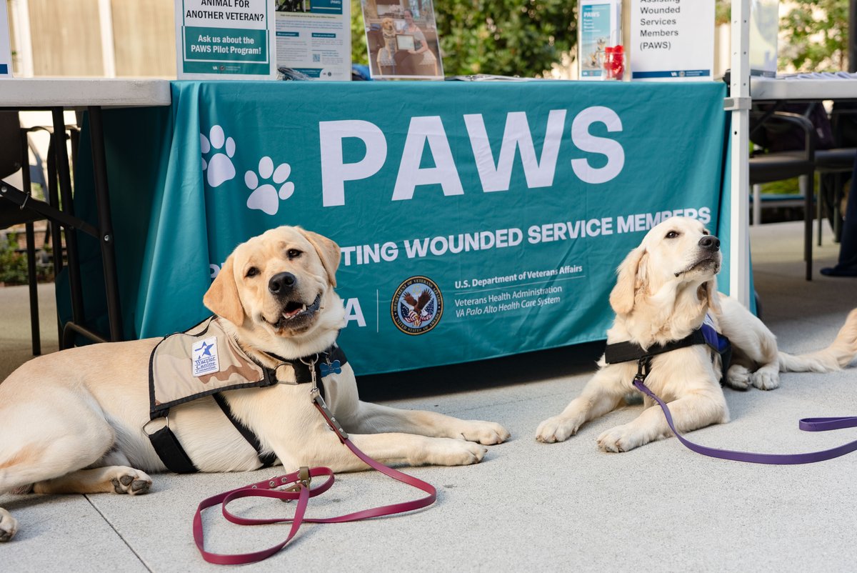 VA Palo Alto HCS tweet media