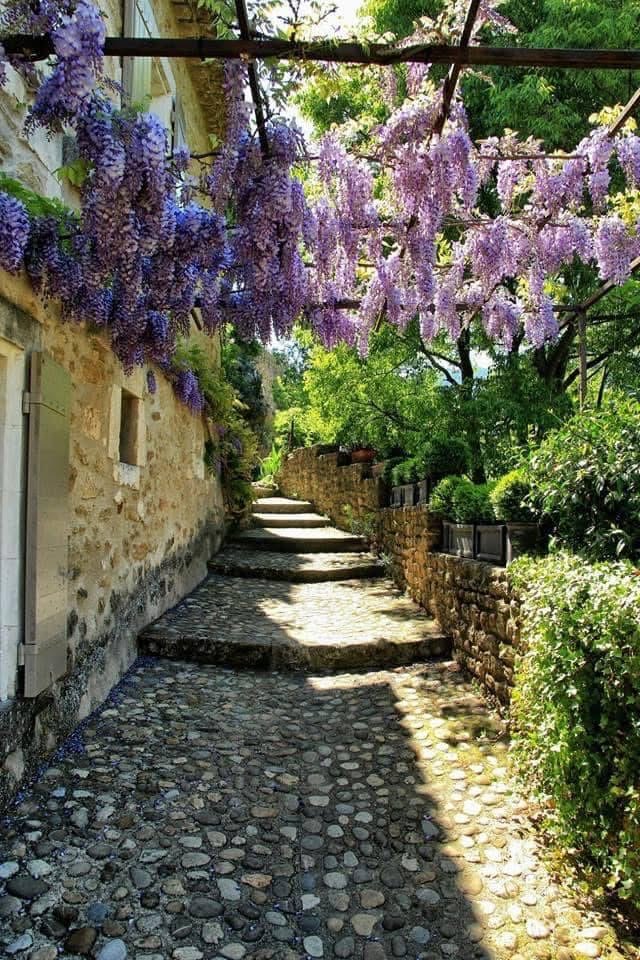 Ruelle fleurie en Provence, au Printemps
Maubec-le-Vieux, village perché
Luberon, Vaucluse