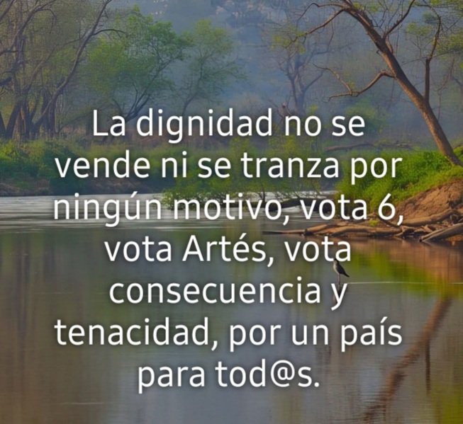 🔥A desalambrar (@sarafepa) on Twitter photo 