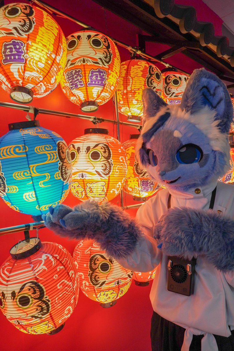 三次元乗貳貓 tweet media