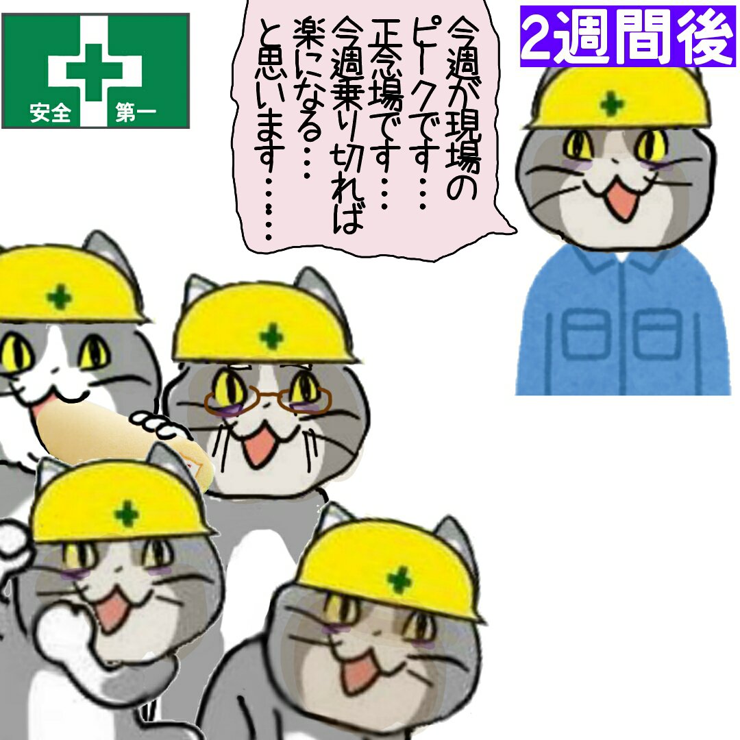 ★現場猫ページ★ 現場猫線 - Search / X