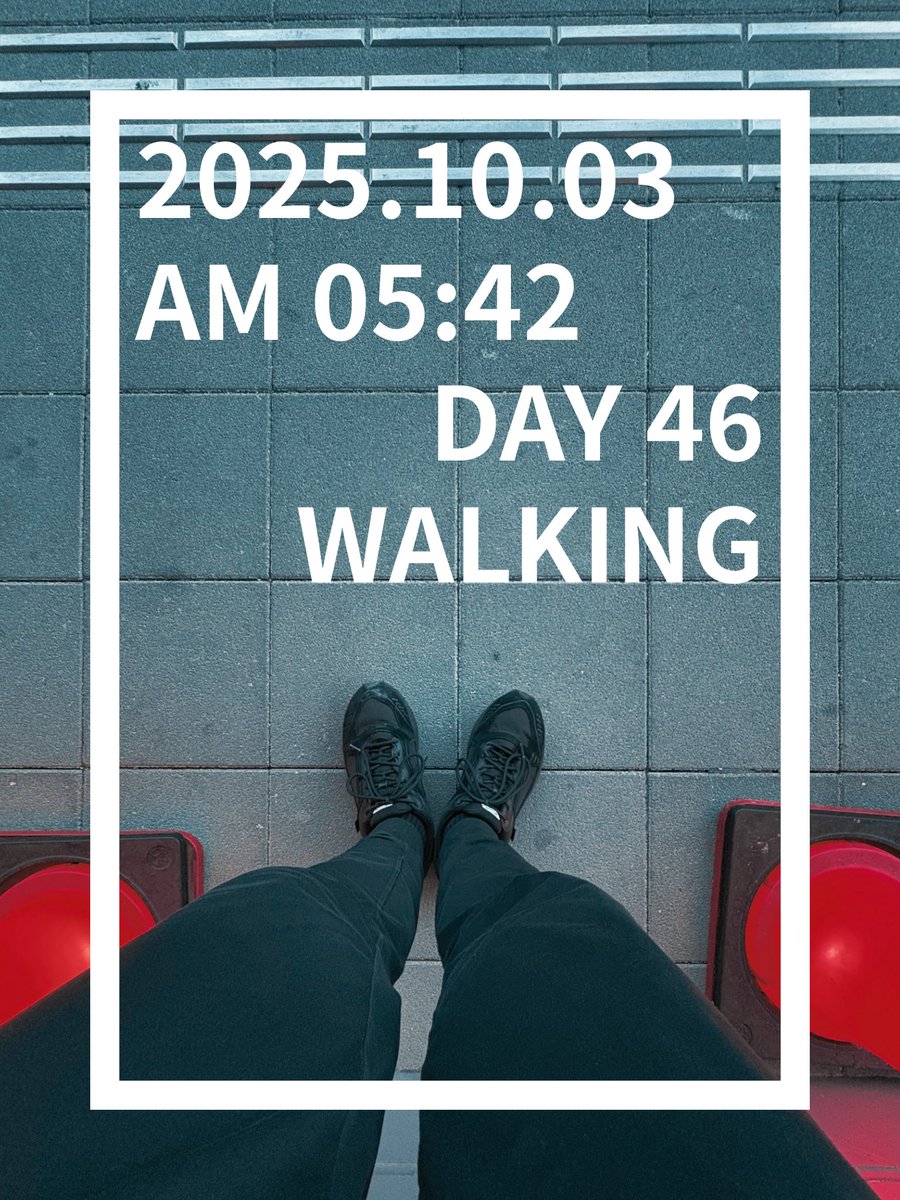 nichijo_83's tweet image. 珈琲愛好家の朝は早い。
#100日チャレンジ 
#day46