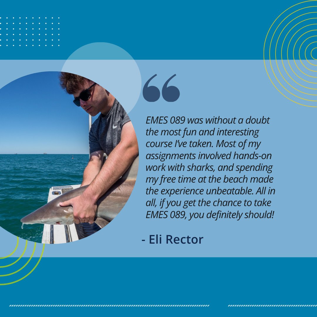 UNC Summer School tweet media