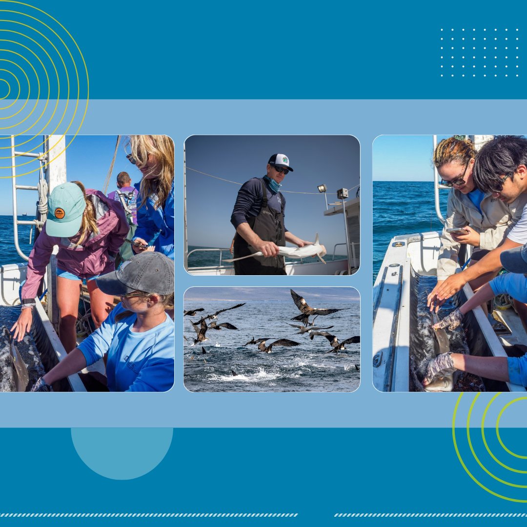 UNC Summer School tweet media