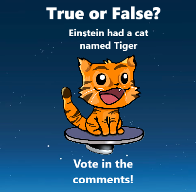 zoomycat_mobile's tweet image. True or False: #Einstein had a cat named Tiger. Vote in the comments🐅

And play #ZoomyCat - free on #GooglePlay!

#factfriday #catlover #catlovers #catgame #kittygame #mobilegame #androidgame #tiger #cartoontiger #happytiger