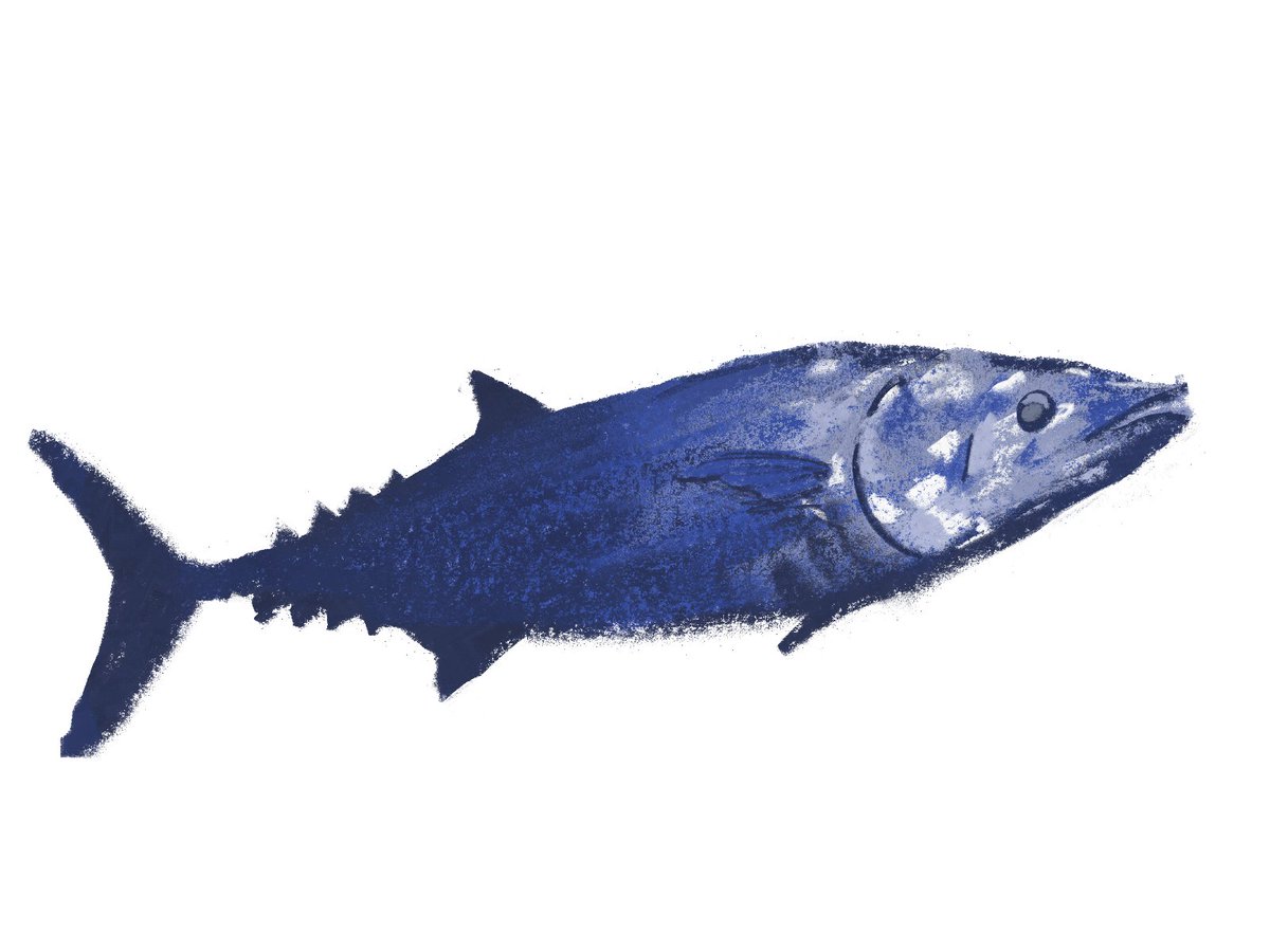 LensaladaInk's tweet photo. Fishy design for a fishy game https://t.co/O94SpiWQSS