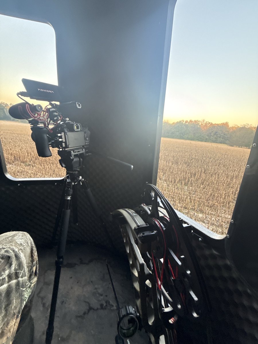 Kyle Campbell tweet media